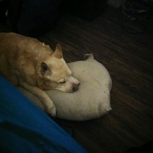 Meet your Posher, Florence